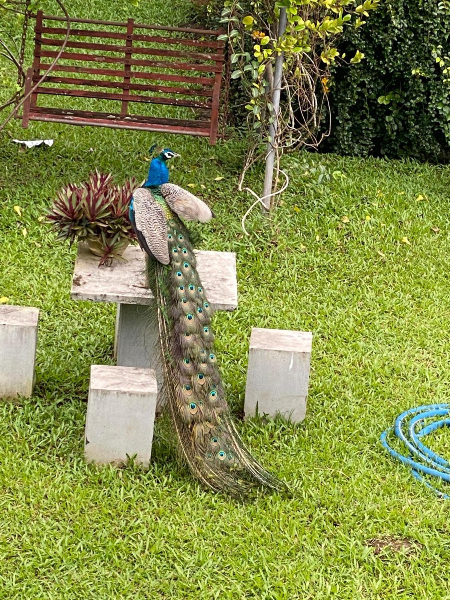 Waasala Leisure Hotel Anuradhapura Kültér fotó