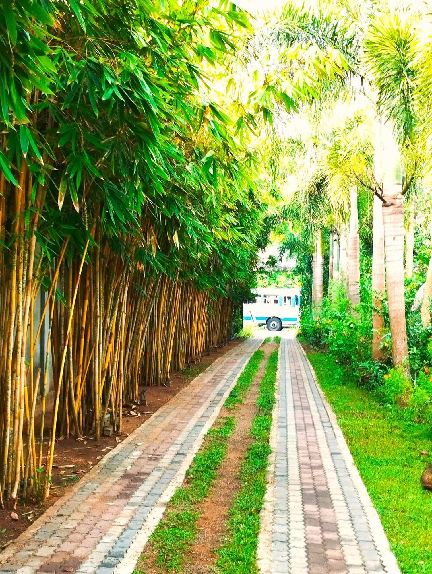 Waasala Leisure Hotel Anuradhapura Kültér fotó